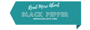medicinal uses of black papper