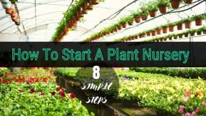 How To Start A Plant Nursery