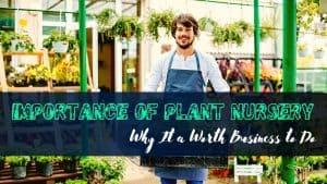 importance of plant nursery