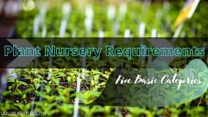 plant nursery requirements