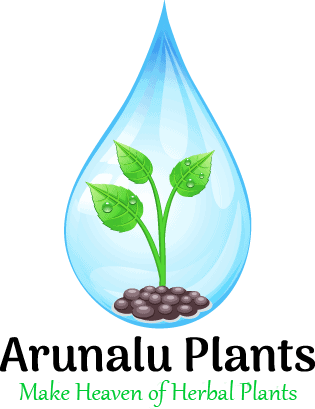 arunalu plants logo