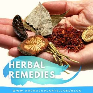 herbal remedies blog
