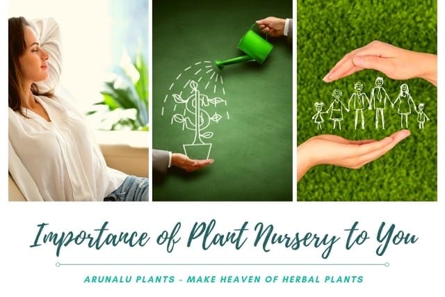 advantages of plant nursery