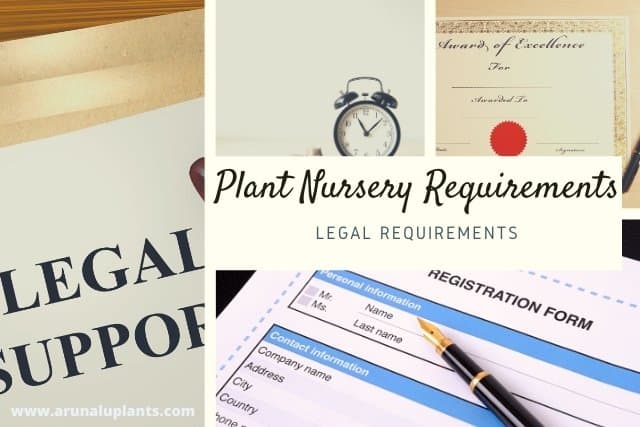 basic plant nursery requirements