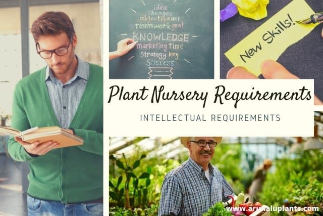 basic requirements of plant nursery establishment
