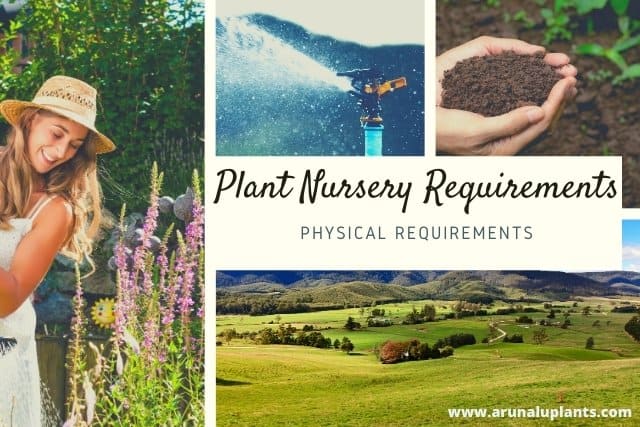 requirements for setting up a plant nursery