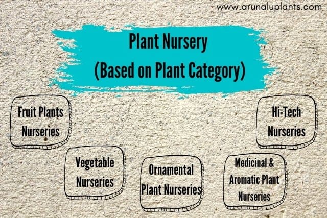 types of plant nursery pdf