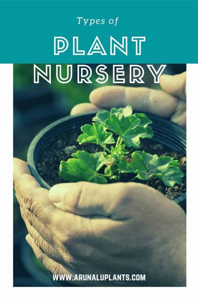 types of plant nursery