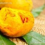 Lavulu | Pouteria campechiana | Cupcake Fruit
