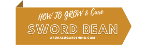 How to Grow & Care sword bean