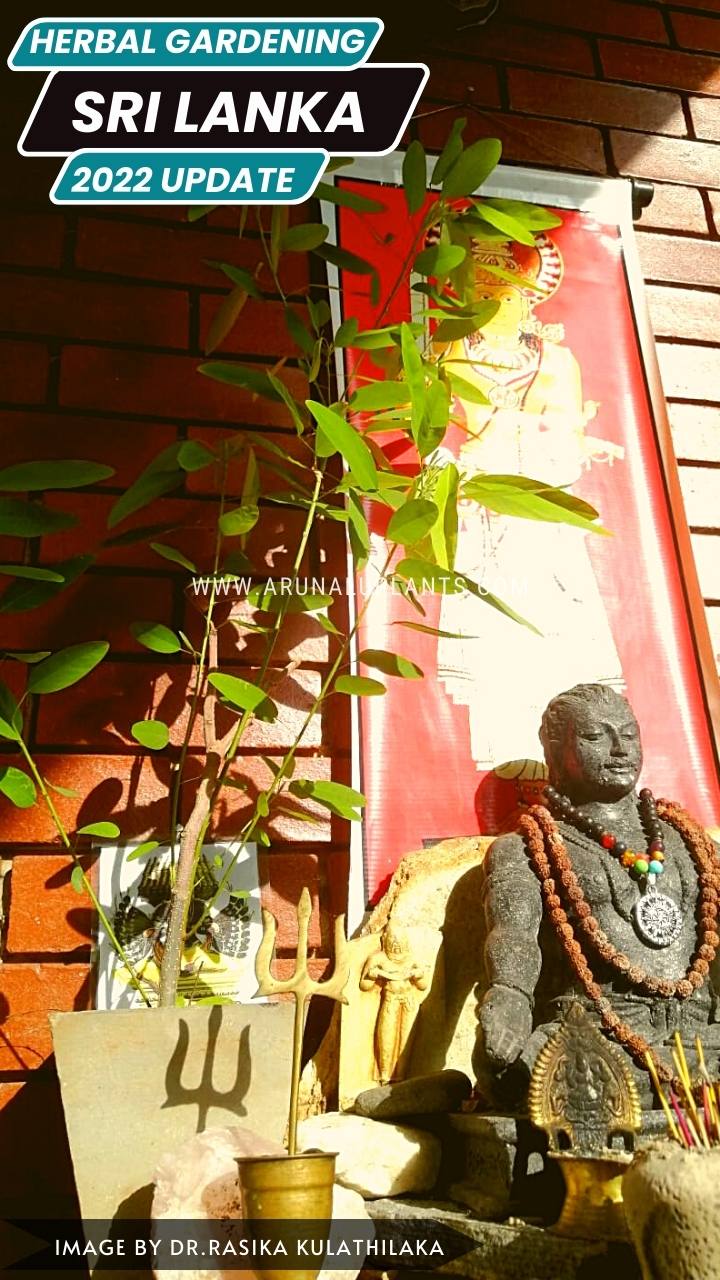 Ravana Statue