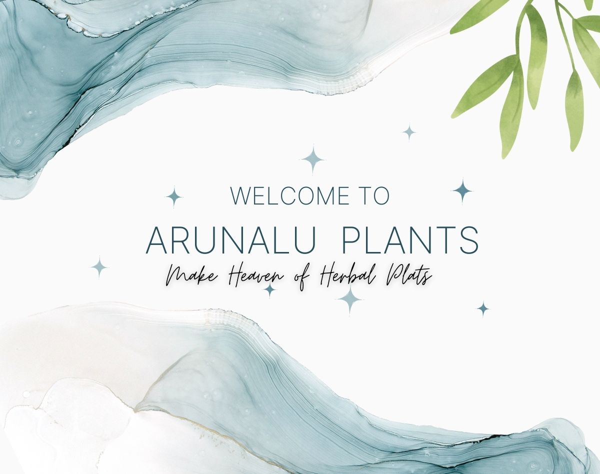 arunalu plants online nursery