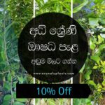 root ball trees price in sri lanka